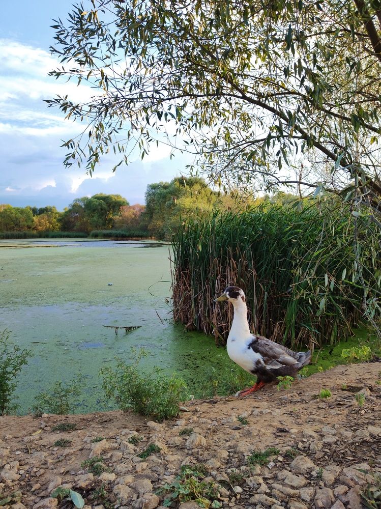 Photograph by Татьяна Аршинова