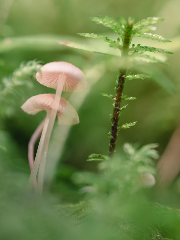 Photograph by Tomek Orylski