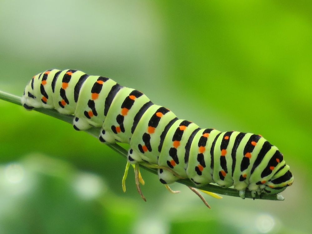 Photograph by Елена Гарипова