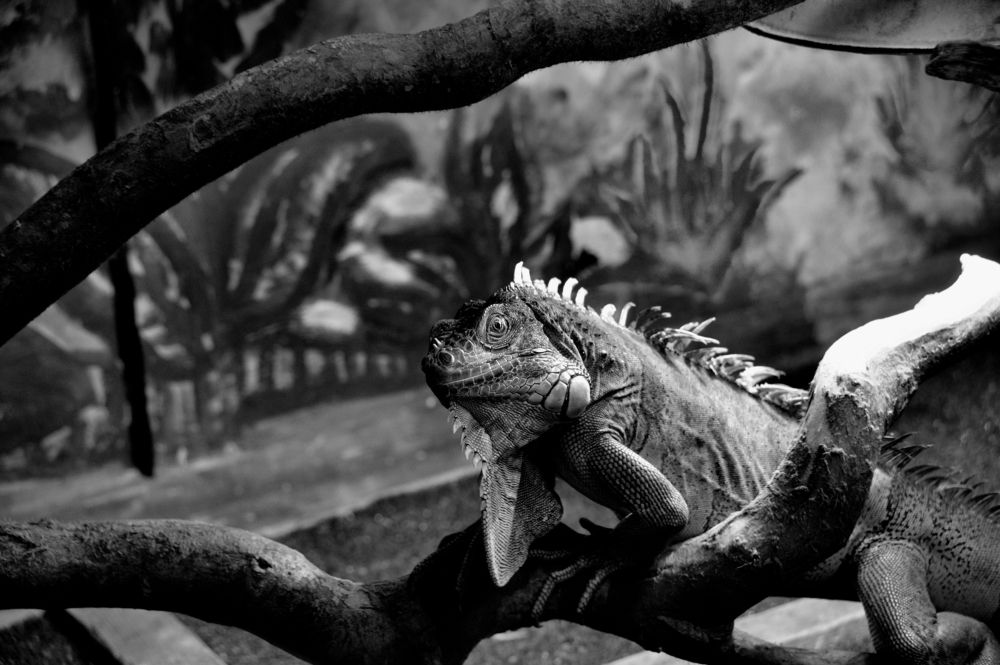 Photograph by АНДРЕЙ Роев