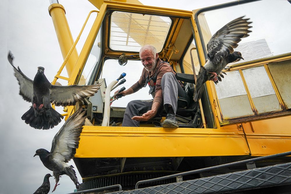 Рабочий и голуби.