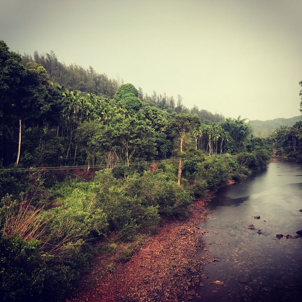 Photograph by Dr Naren Telluri