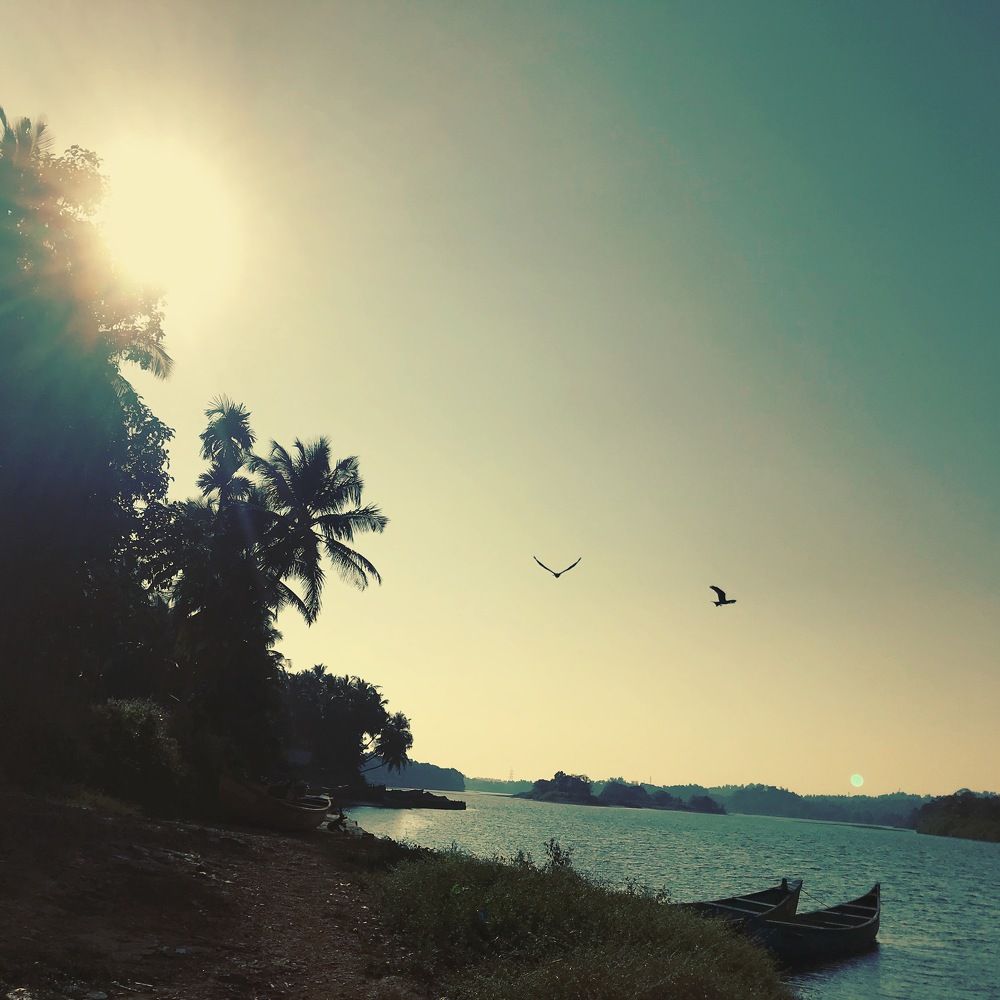 Фотография автора Naren Telluri