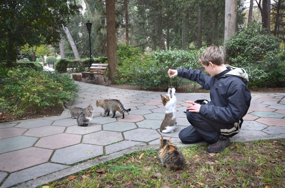 Photograph by Людмила Сиденко