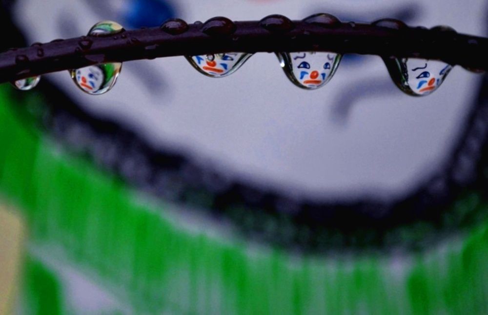 Фотография автора Yako Laverde