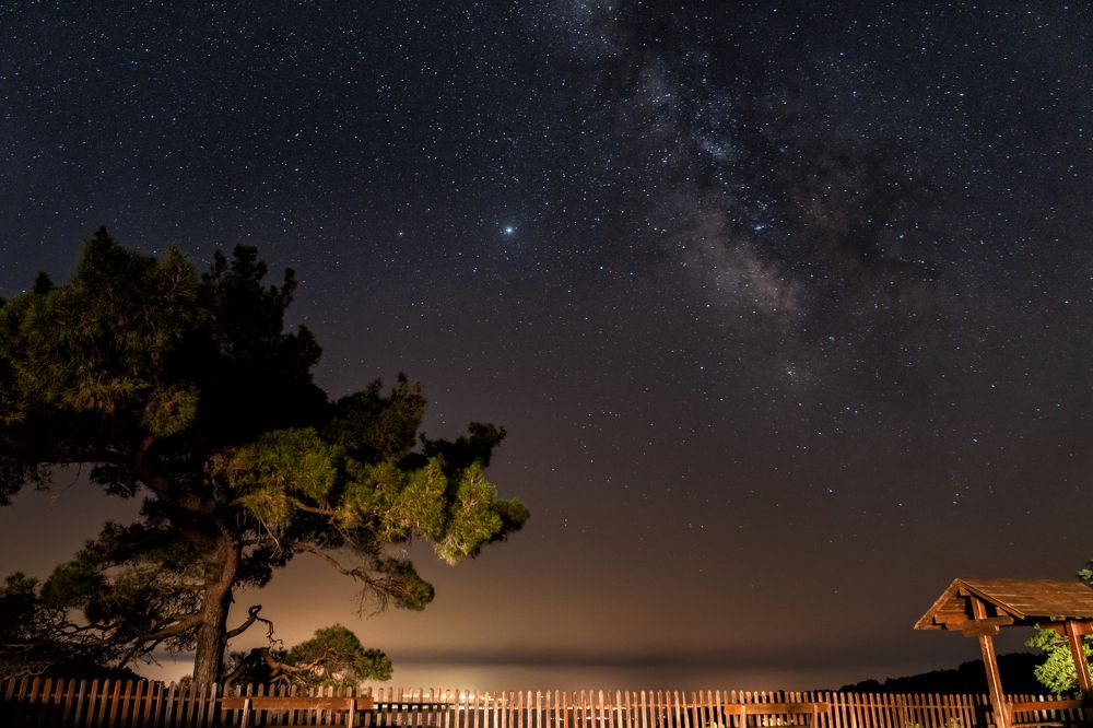 Photograph by Виктория Кузнецова