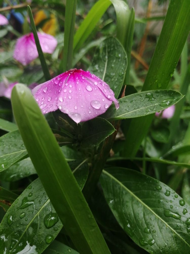 Photo #6465978