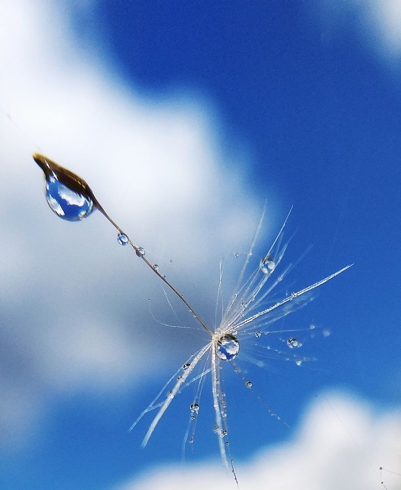 Photograph by Inna Kabanovich