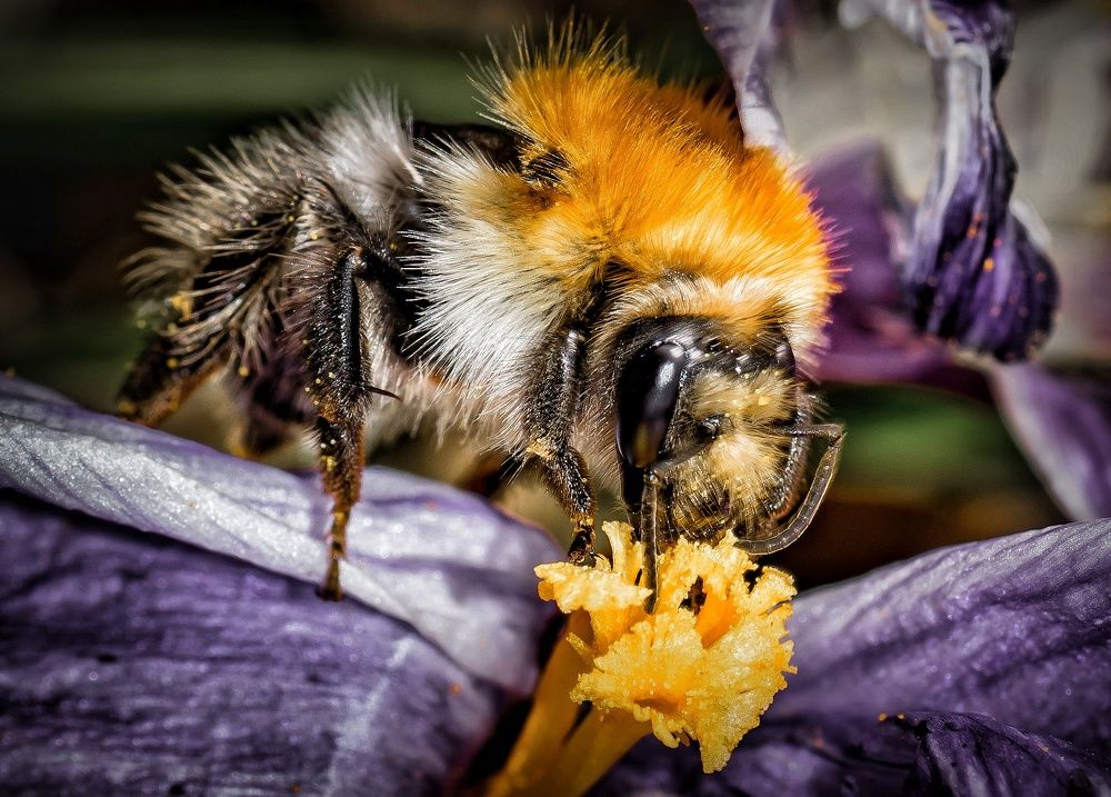 Photograph by Дмитрий Синичев