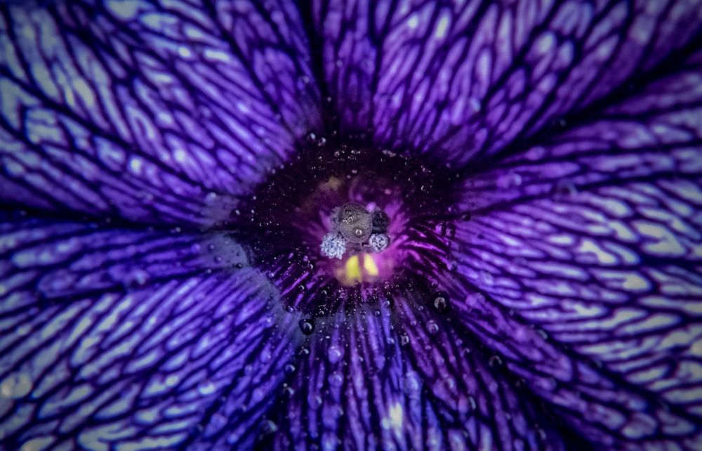 Photograph by Дмитрий Синичев