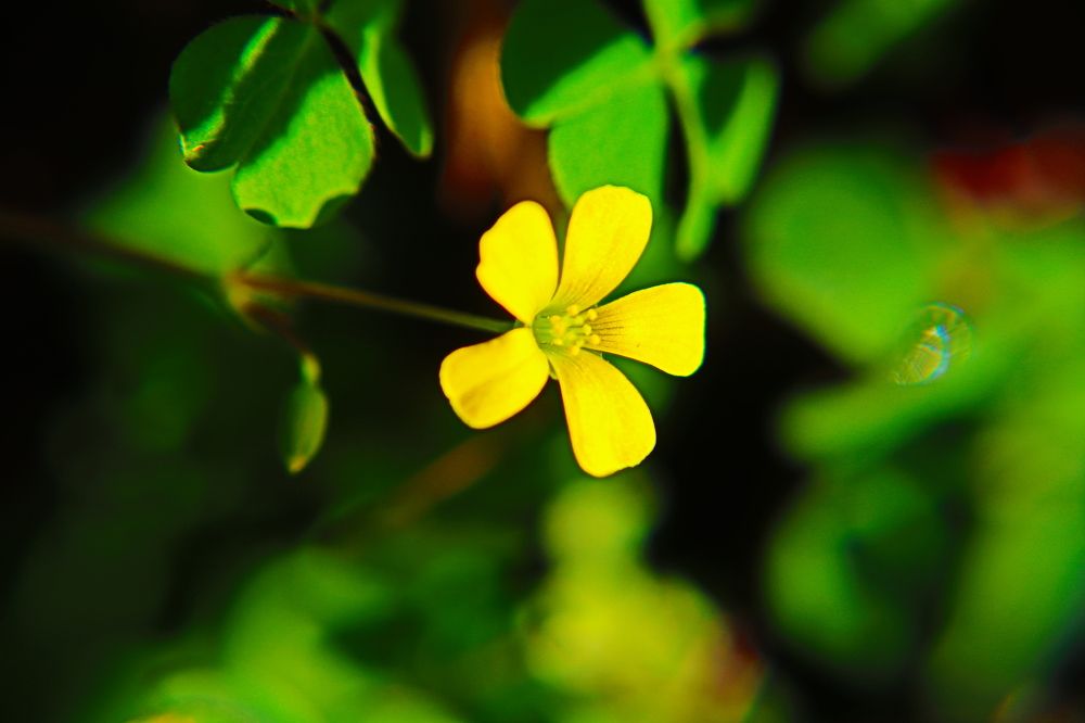 Photograph by Komang Mariono