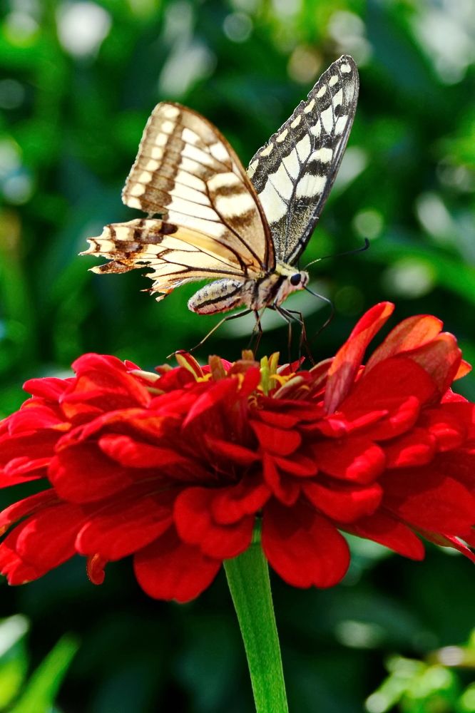 Photograph by Andrey