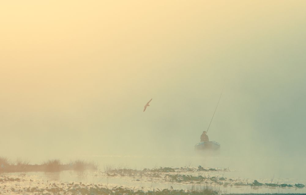 Photograph by Артём Аниськин