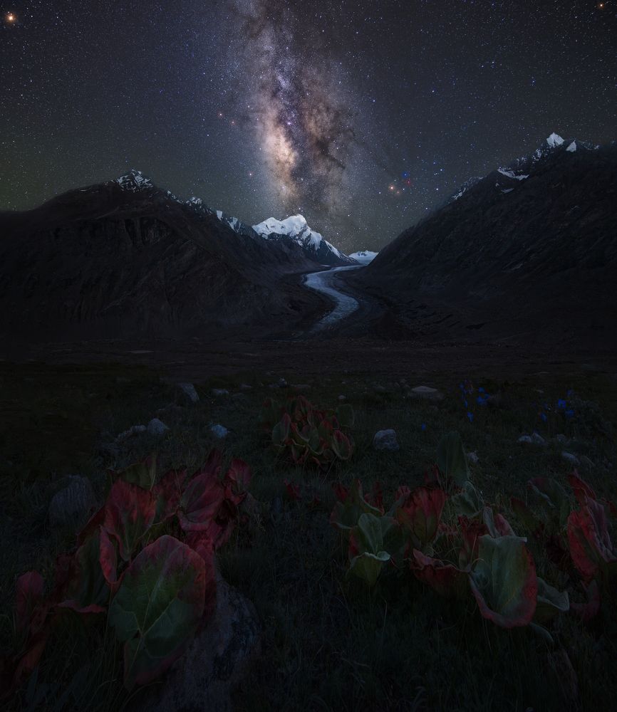 Photograph by TANAY DAS