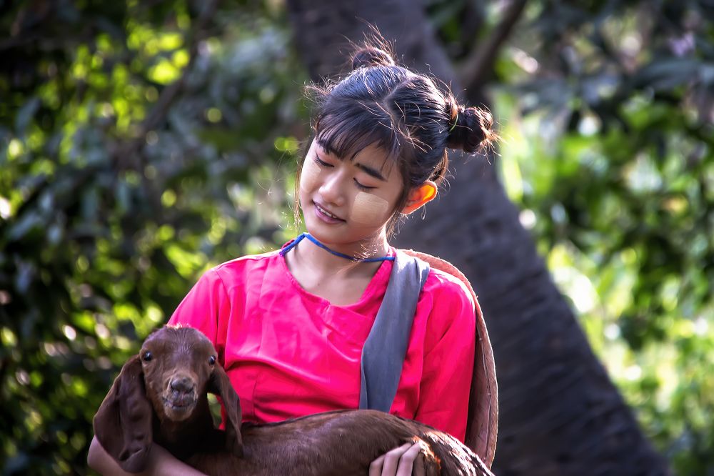 Фотография автора Pyii Zone Aung