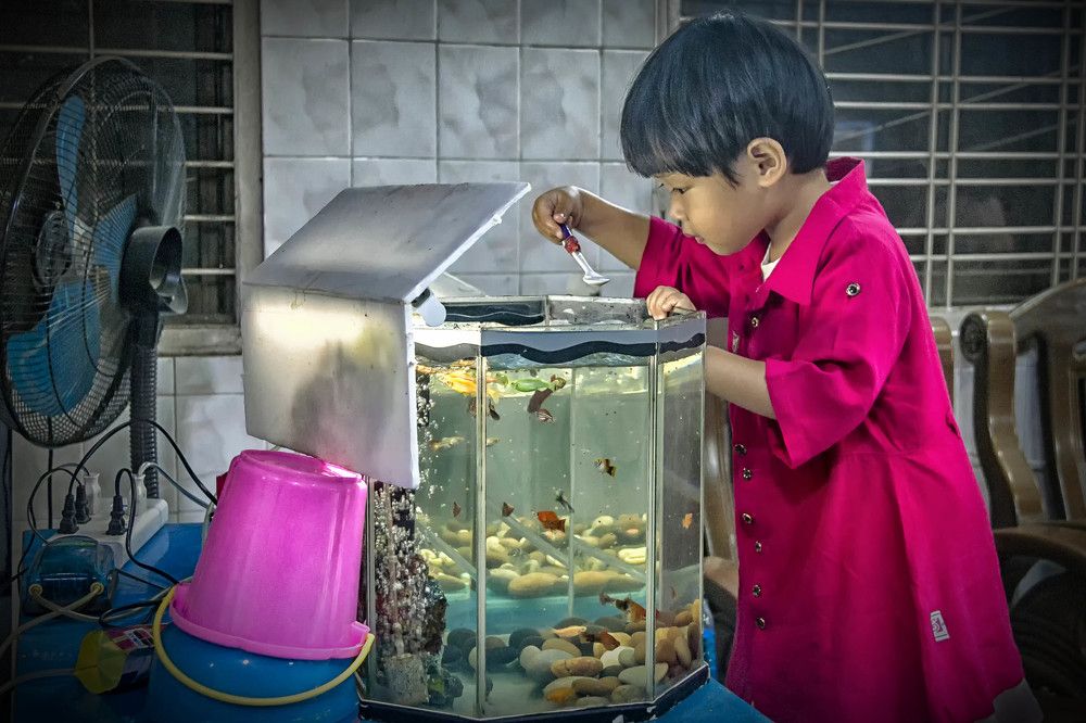 Фотография автора Pyii Zone Aung