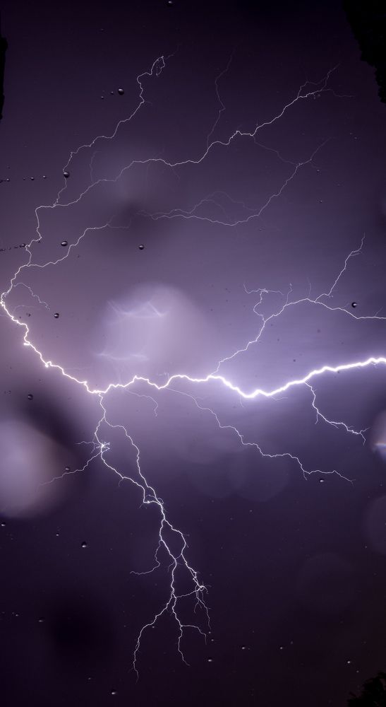 Photograph by Jean Cursino