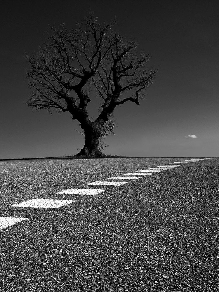 Photograph by maria laura borgognoni