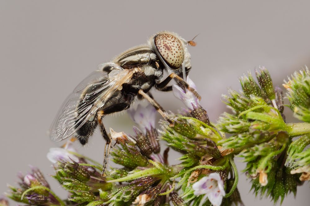 Photograph by Денис Ветренко