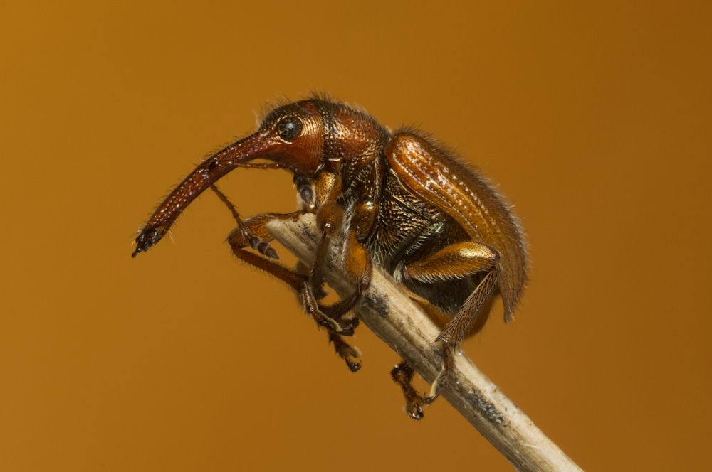 Photograph by Денис Ветренко