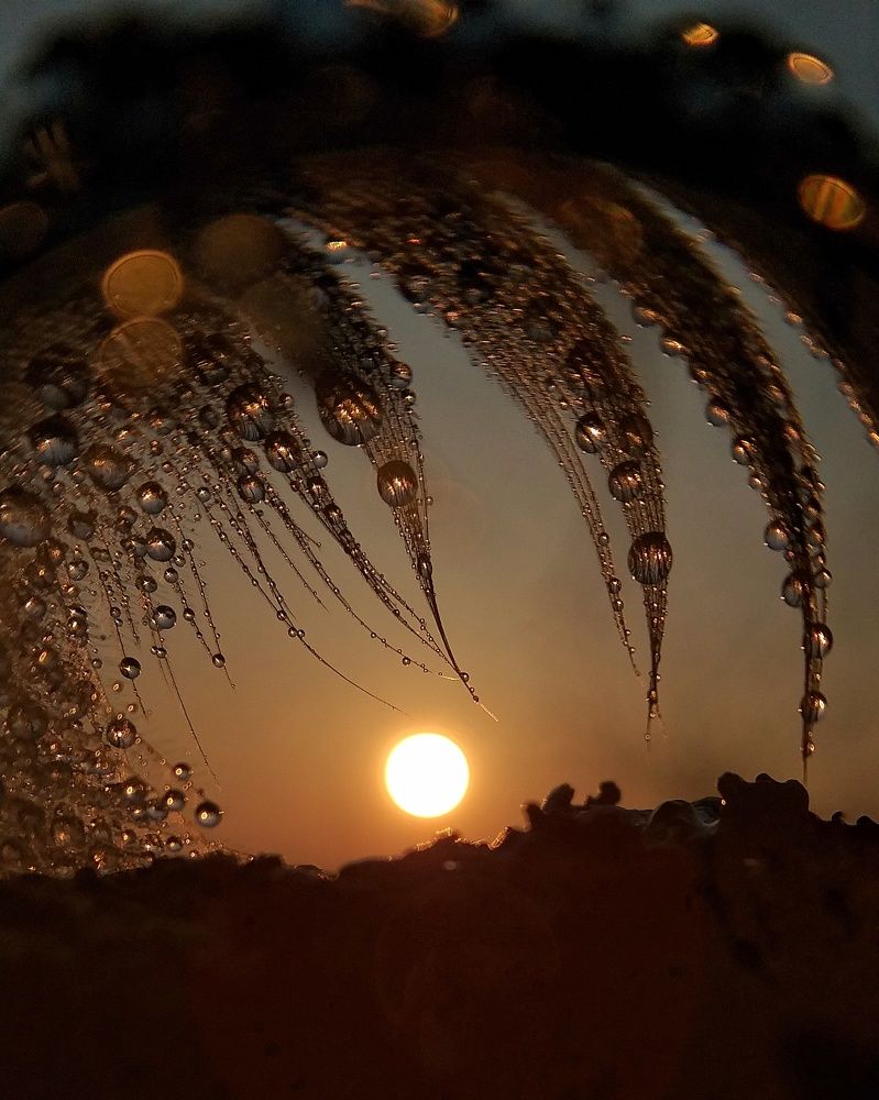 Photograph by Inna Kabanovich