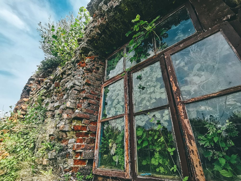 Photograph by Ярош Анастасия