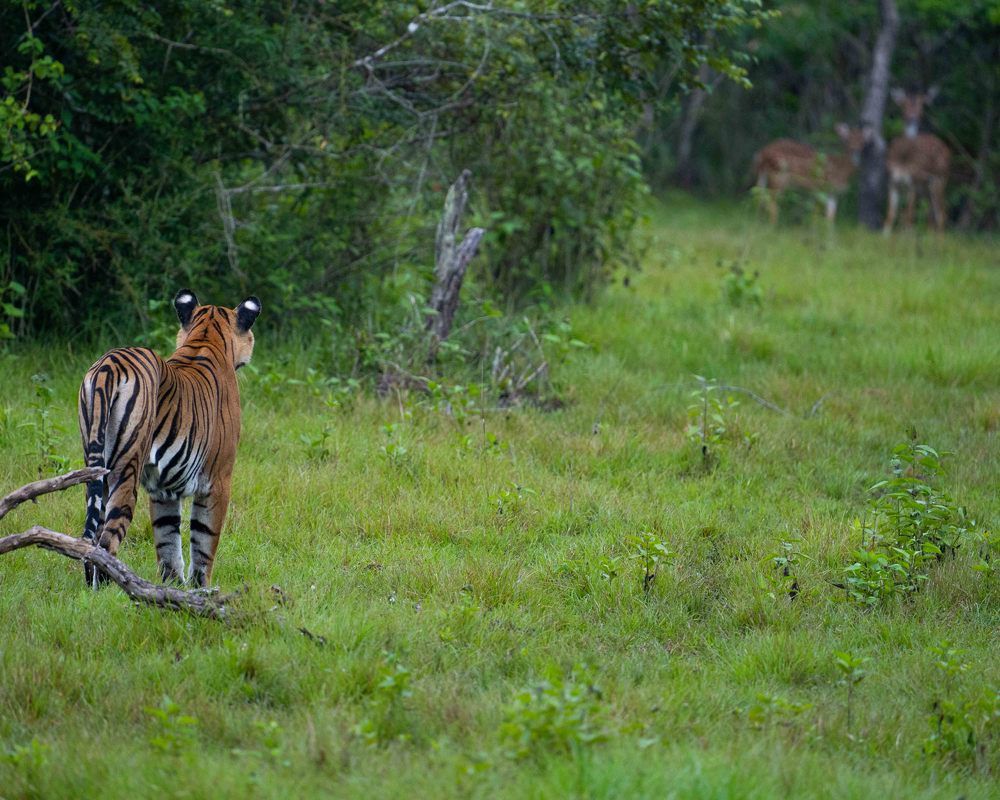 Photograph by Pankaj Biswas
