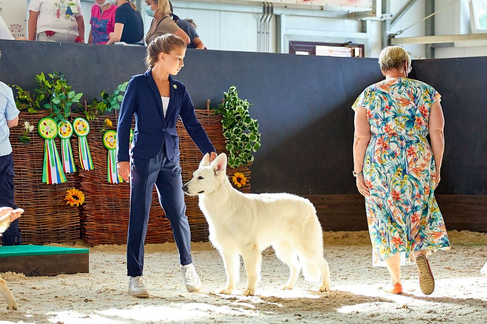 Photograph by Константин Кузнецов