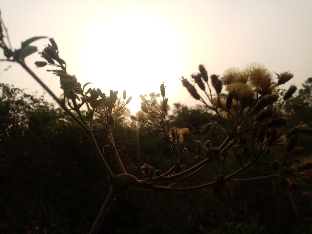 Photo #6467221