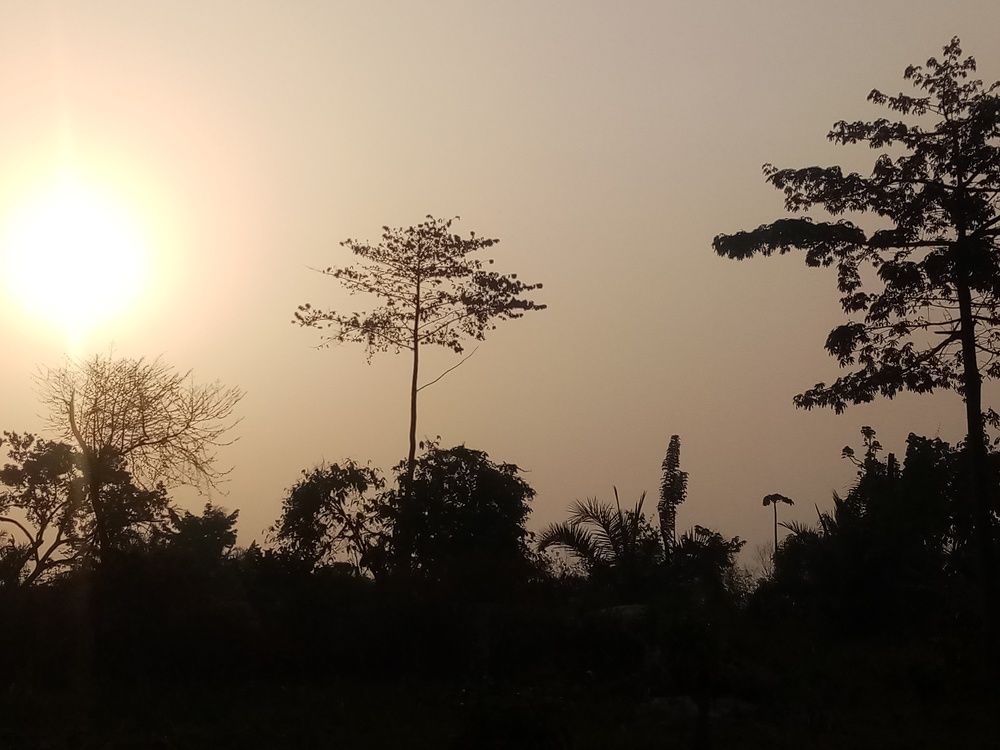 Mobile photoes