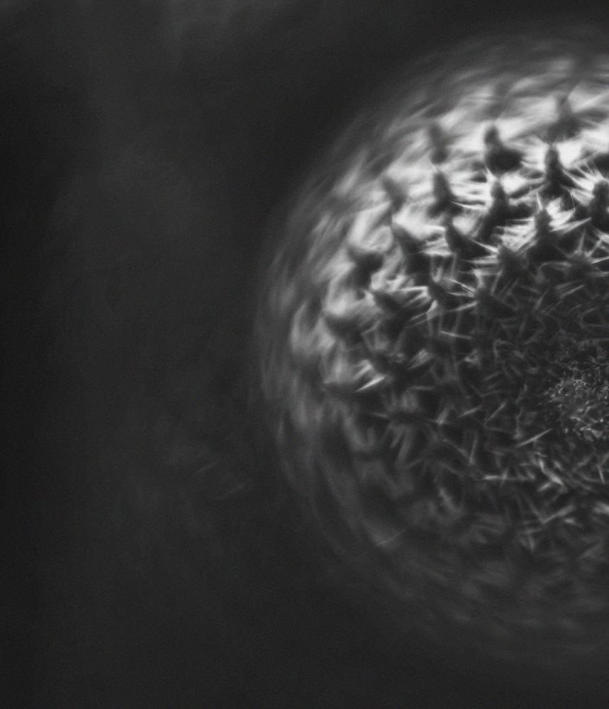 Photograph by Мария Буданова