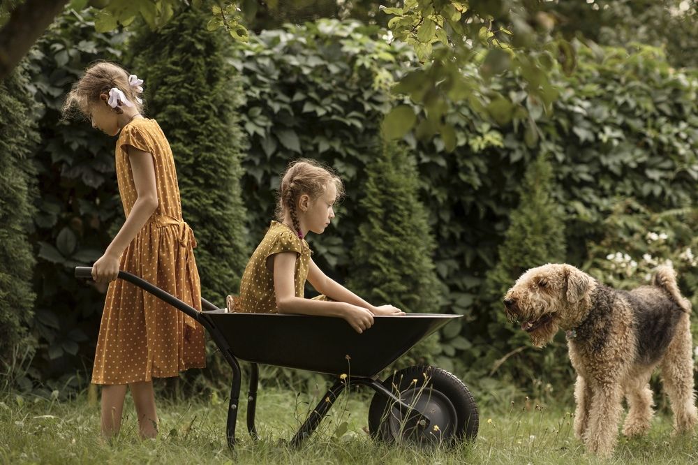 Photograph by Ольга Хентова