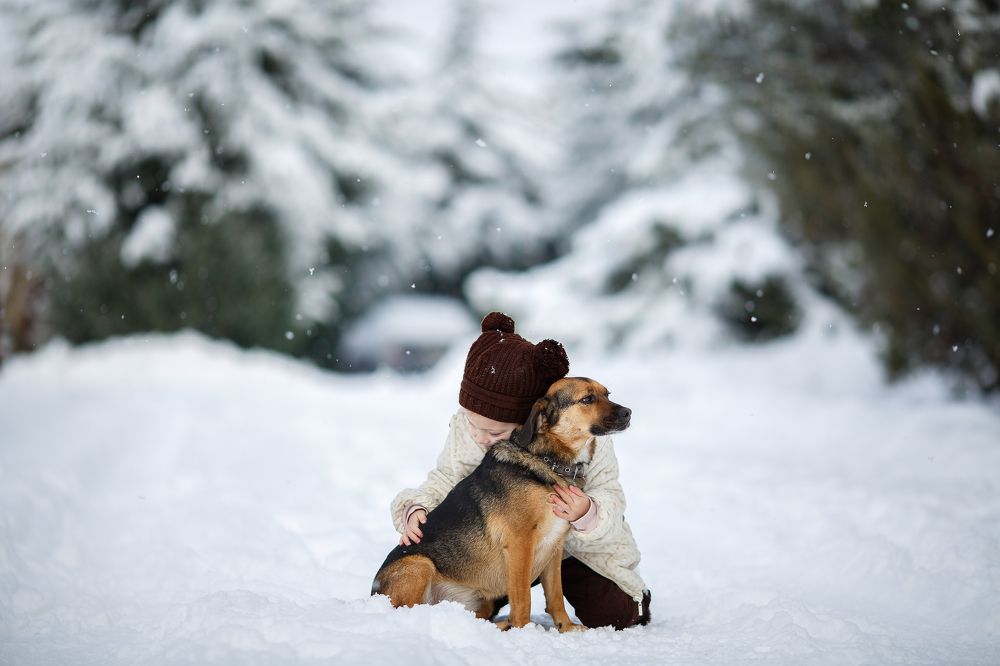 Photograph by Антон Стриж