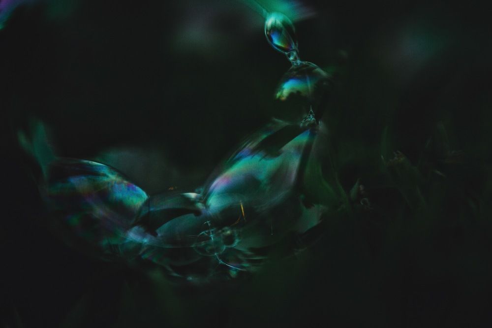 Photograph by Sofia Ershova