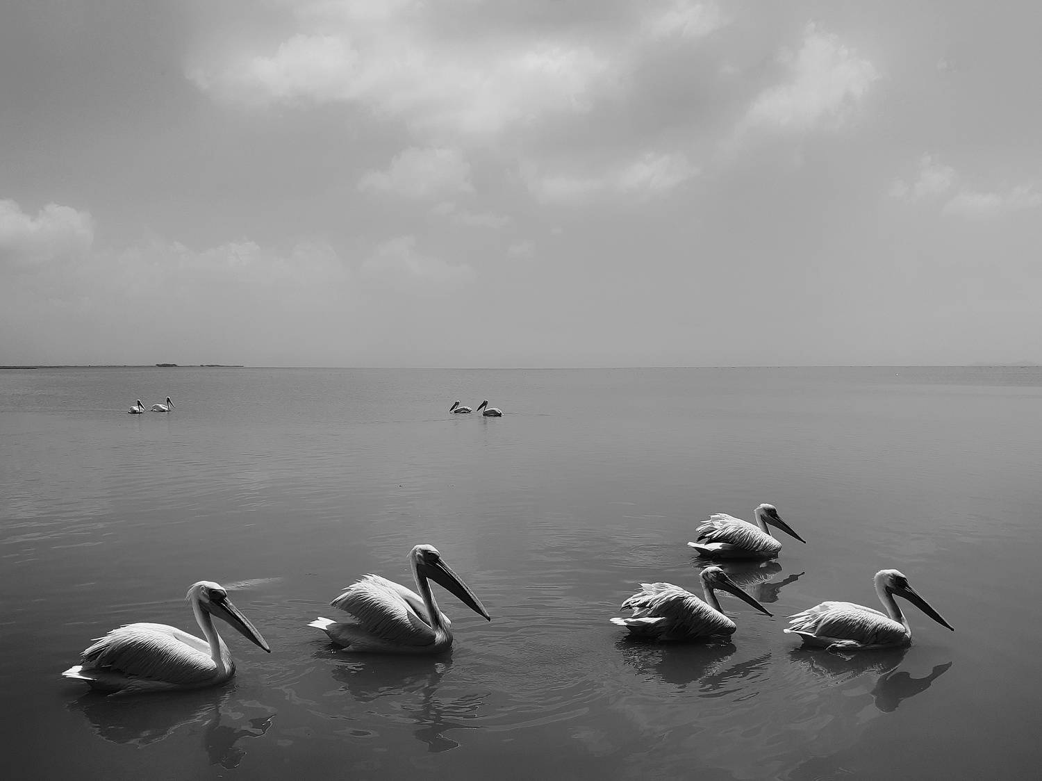 Photo #6467442