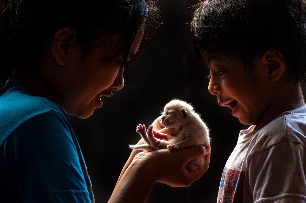 Фотография автора froi rivera