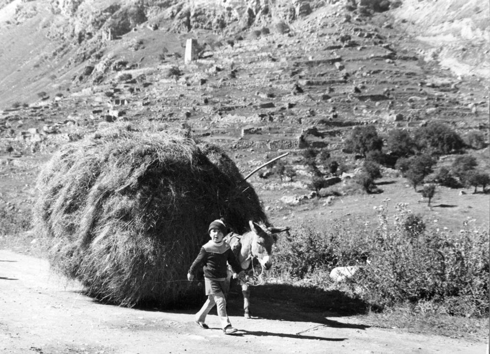 Photograph by Заурбек Шахмурзаев