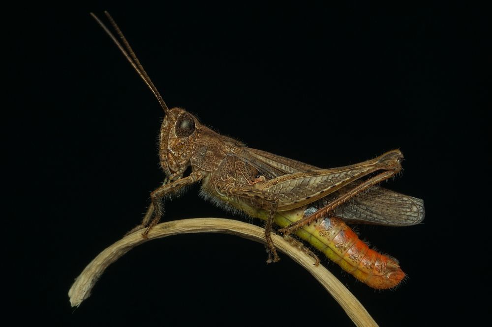 Photograph by Денис Ветренко