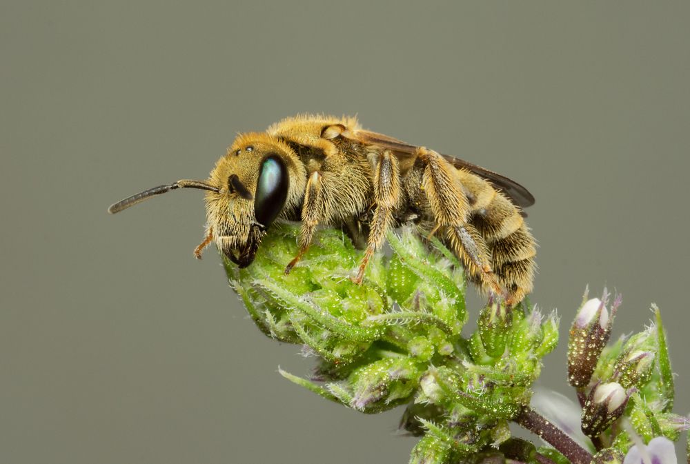 Photograph by Денис Ветренко