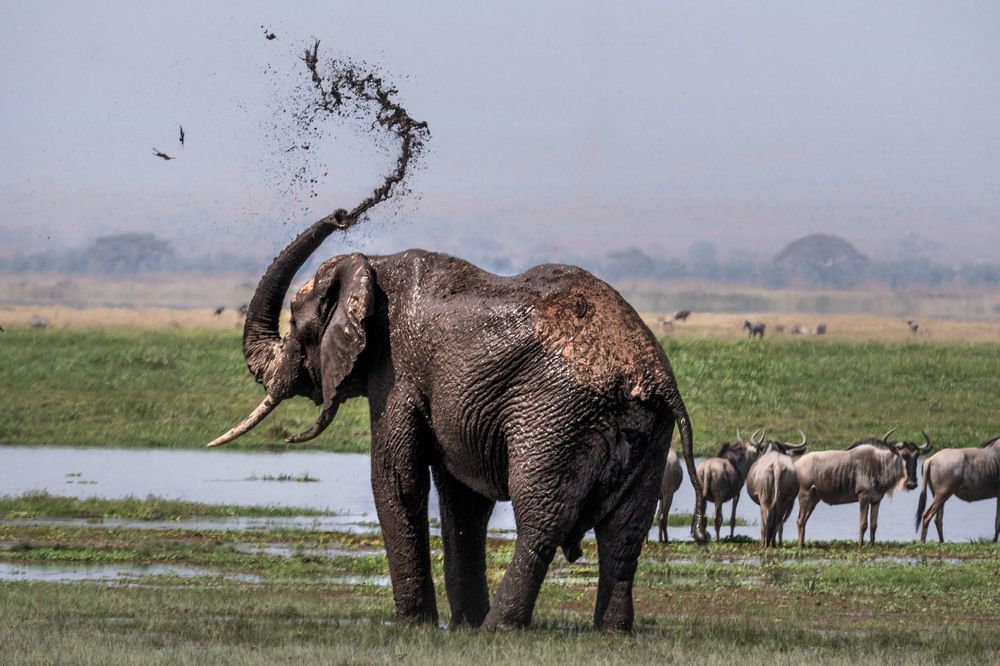 Photograph by Victor Belokrinitski