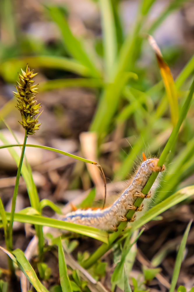 Photograph by Анна Хлоповская
