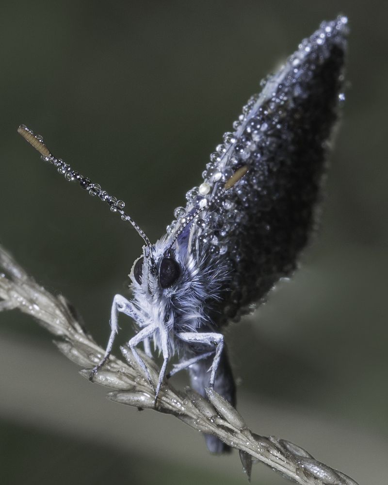 Photograph by Михаил