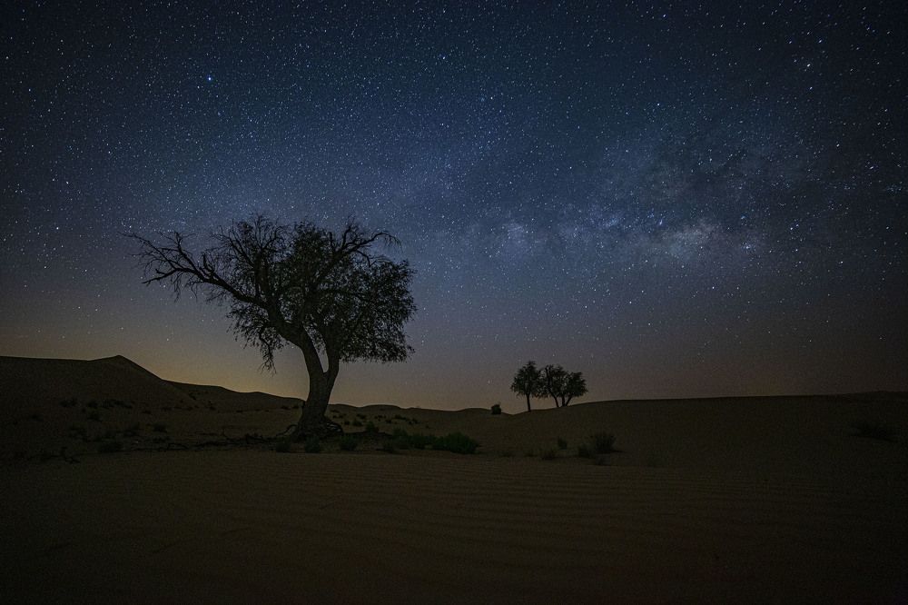 Photograph by MARY GRACE Montives