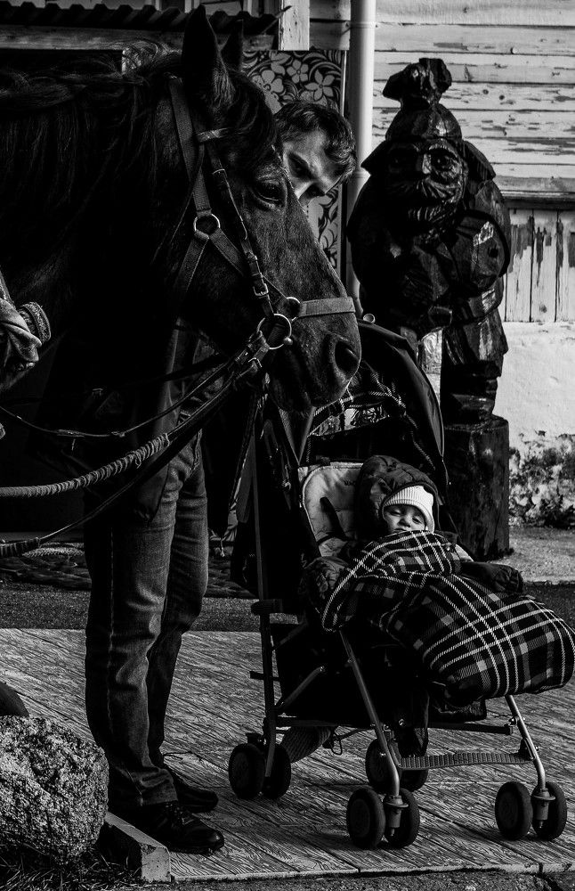 Фотография автора Глеб Рубашкин