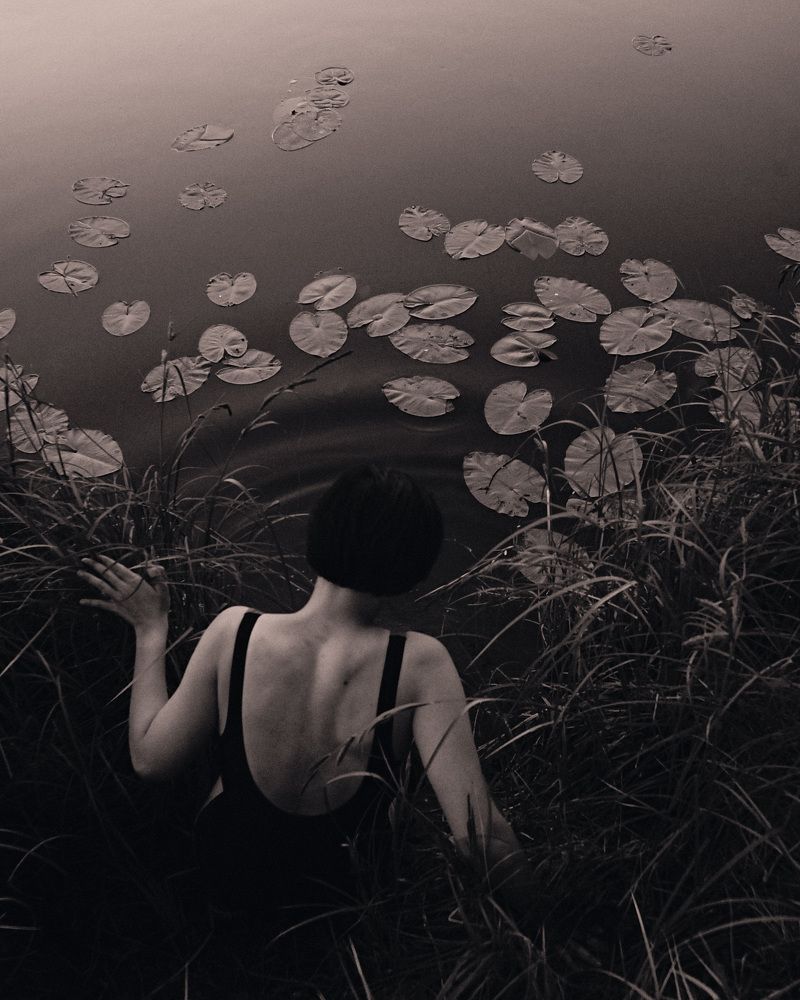 Photo #6467990
