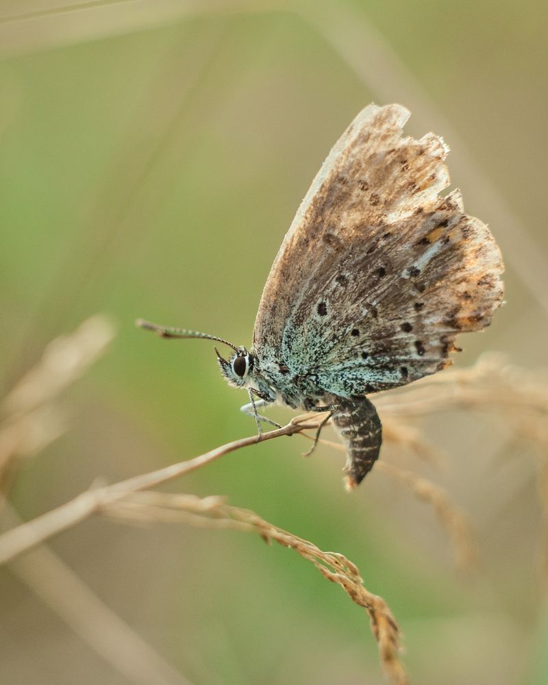 Photograph by Динара Зуйкова