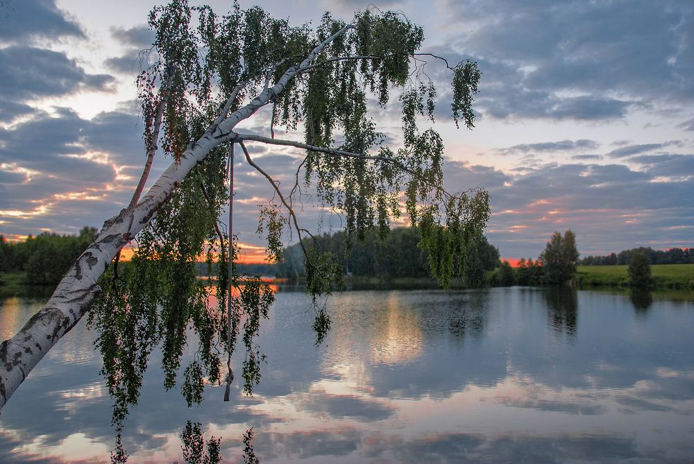 Фотография автора Елена Савельева
