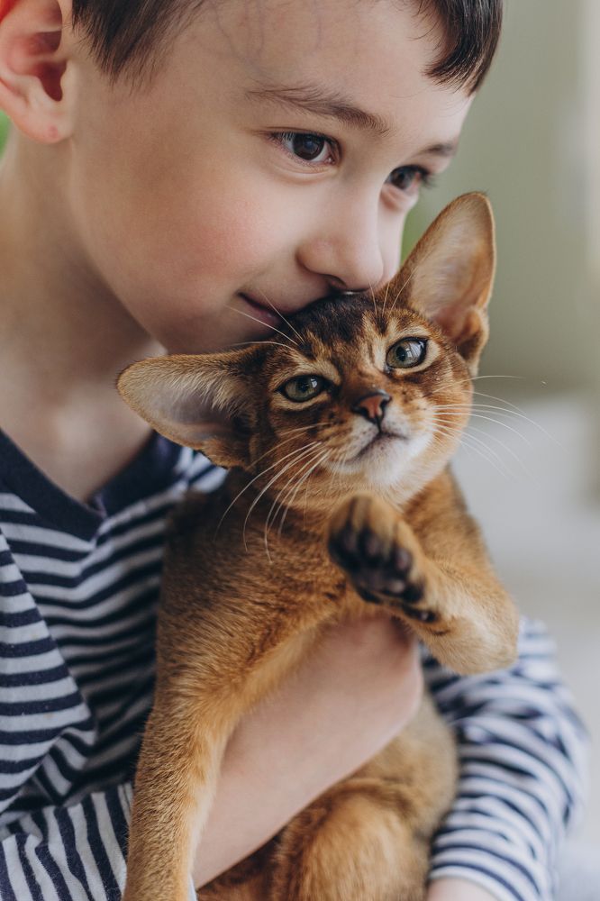 Photograph by Елизавета Лутцева