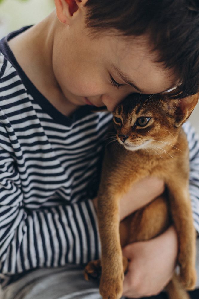 Photograph by Елизавета Лутцева