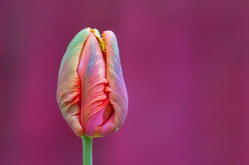 Photograph by Laima Kuriene